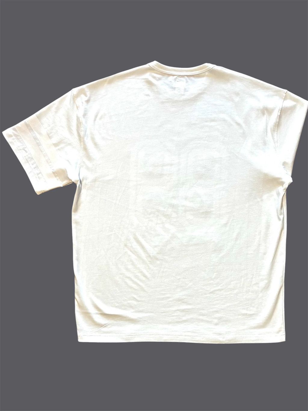 EXPANSION NY 89 ラバープリントTシャツ バックスタイル　ホワイト