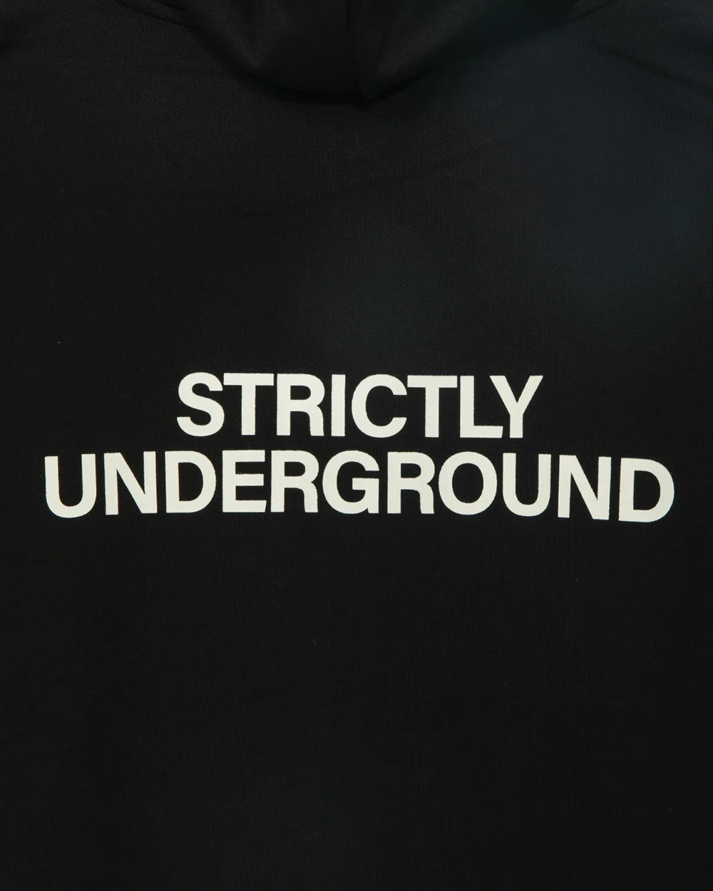 APPLEBUM STRICTLY UNDERGROUND ジップフーディの背面。「STRICTLY UNDERGROUND」のメッセージプリント入り。　